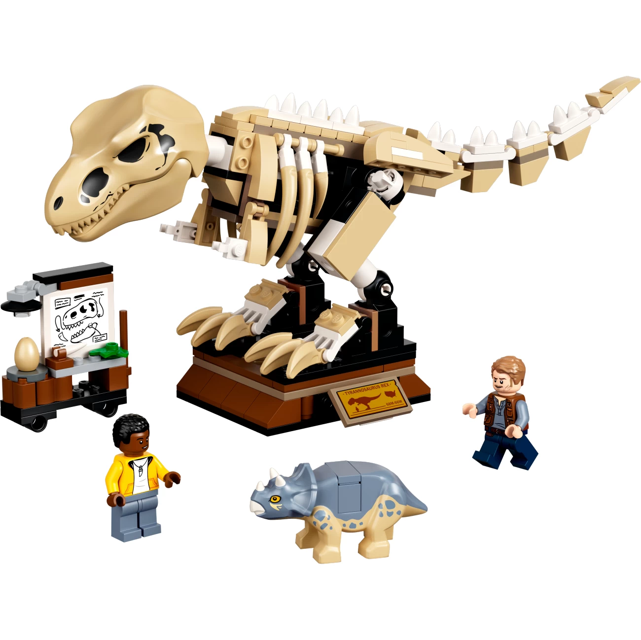T-Rex Skelett in der Fossilienausstellung (76940)