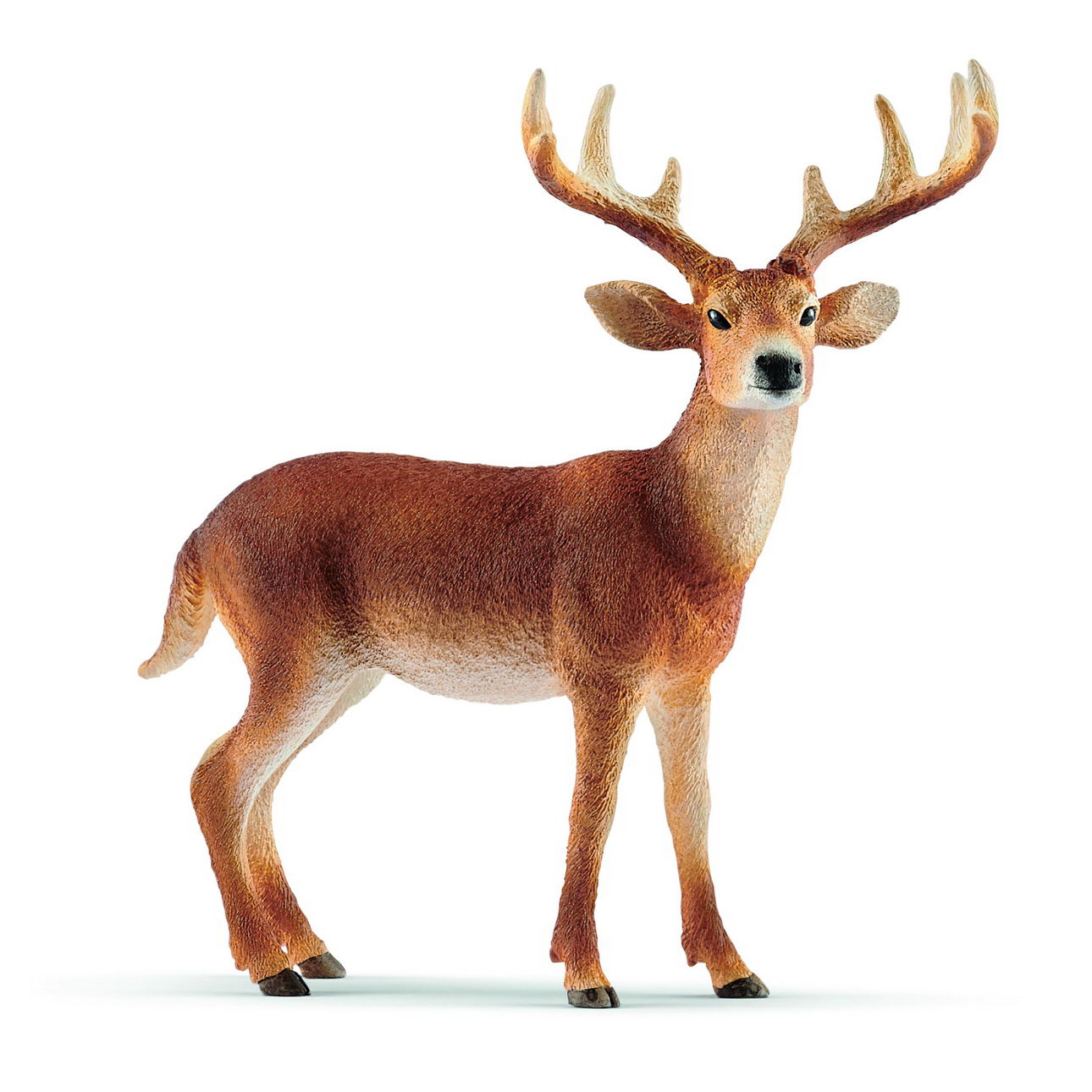 Weißwedelhirsch (Schleich 14818) Wild Life Figur