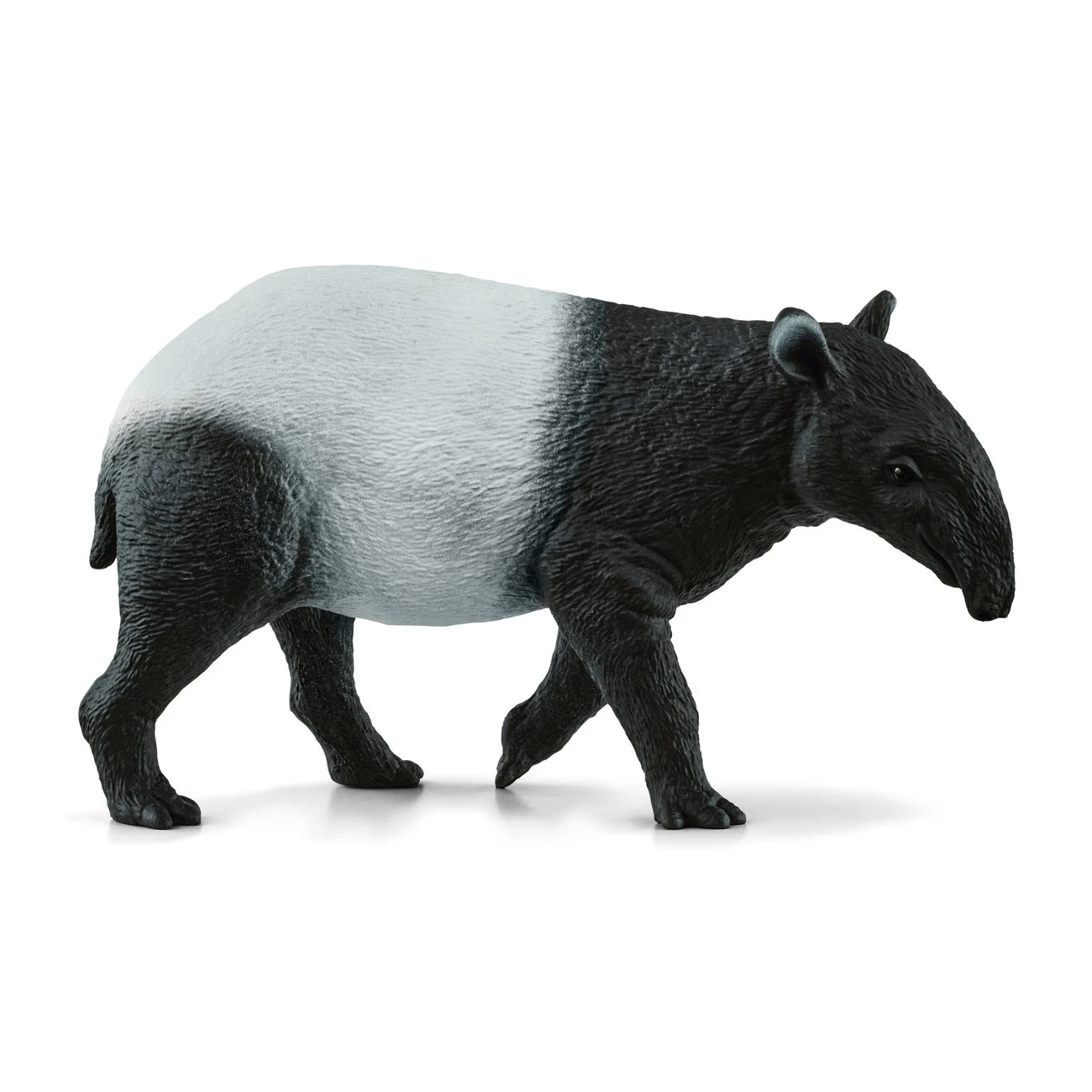 Tapir (14850)