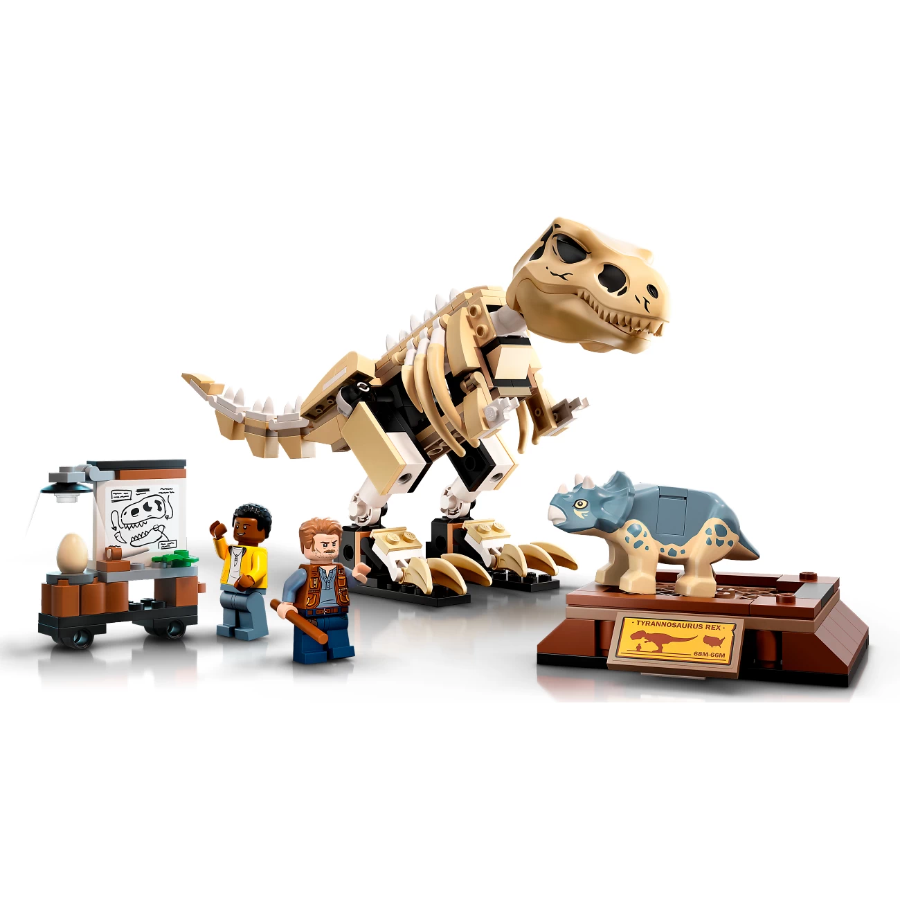 LEGO Jurassic World 76940 - T-Rex Skelett in der Fossilienausstellung