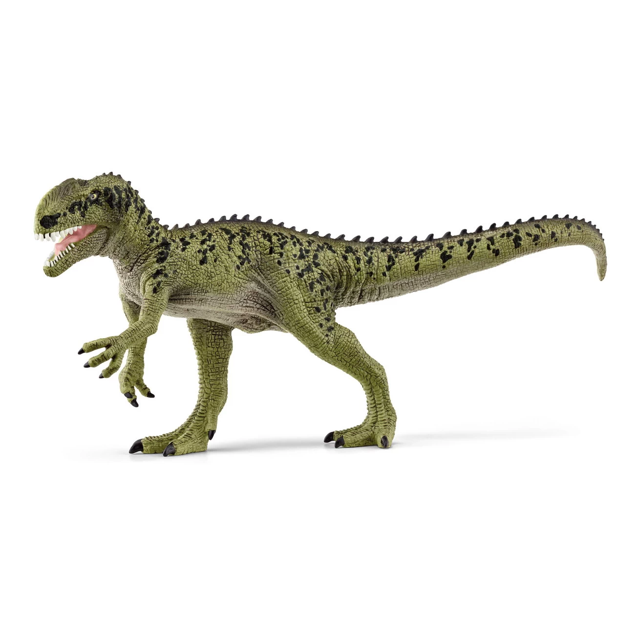 Monolophosaurus (15035)