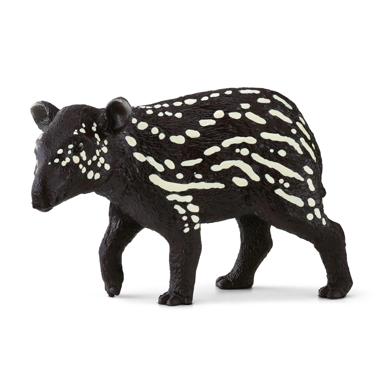 Tapir Junges (14851)