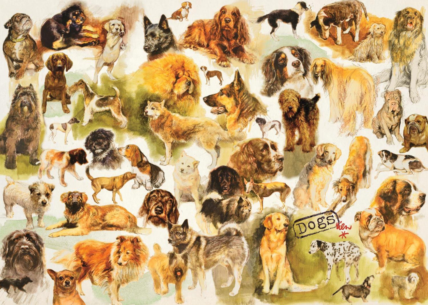 Puzzle - Hunde Poster Rien Poortvliet - 1000 Teile 