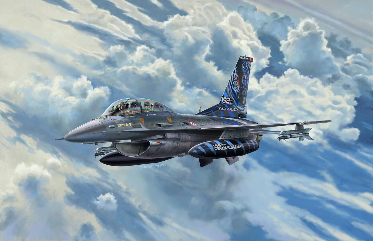 Lockheed Martin F-16D Tigermeet 2014 (03844)