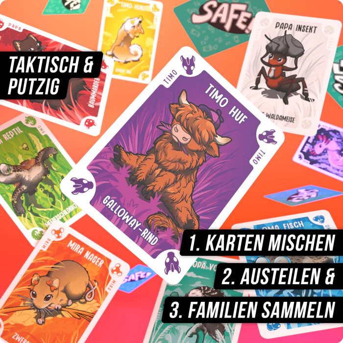 SAFE - Kids Edition – Ganz sicher kindersicher (DENKRIESEN)