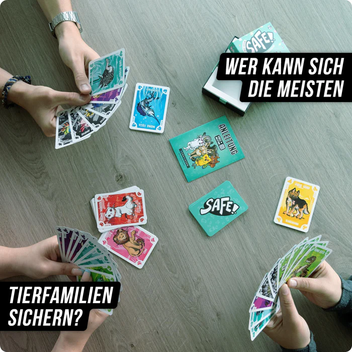SAFE - Kids Edition – Ganz sicher kindersicher (DENKRIESEN)