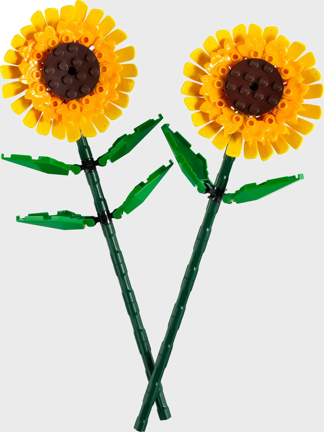 LEGO Iconic 40524 - Sonnenblumen