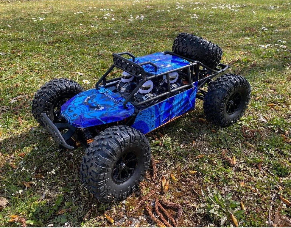 siva - Beach Fighter BR 1:10 XL 2.4 GHz (03175)